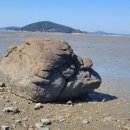 웅도 어촌체험마을 이미지