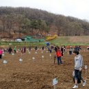 일대농장(1) 이미지