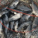 장전낚시터 이미지