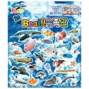 5596 쇼핑하우