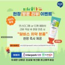 새숲공부방 | 예비초등 여름방학계획 아소비한글 문해력배우기 브로콜리숲속놀이터 서울실내놀거리 가보기