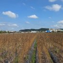 경상남도농업기술원 이미지