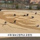 수원칠보고등학교 이미지