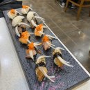 장서원해스롤 이미지