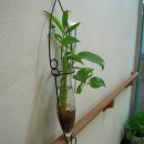 월명성모의집 이미지