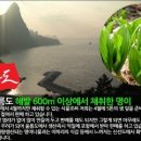 맘씨레 이미지