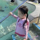 도계당구장 이미지