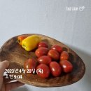 경희체인지한의원 | 원주다이어트한의원 비만클리닉 3일차 2kg 뺐어요