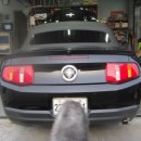 좌동카센타 이미지