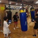 지인진복싱스포츠 이미지