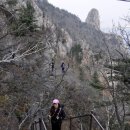 송월파크 이미지