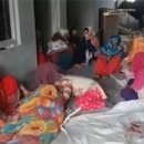 고라농장 이미지