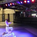 KTIGERS태권도장 이미지