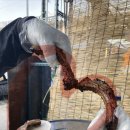 신읍길 | [경기도 포천] 신읍5일장 등갈비 후기 / 내돈내산