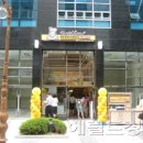 로티보이 이미지