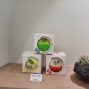 디어올리 이미지