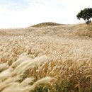 은빛축산 이미지