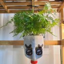 돈대기리 이미지