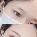고운눈썹