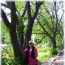 인종목장 이미지