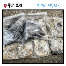 부흥낚시 | [충남 보령] 태안 쭈꾸미, 갑오징어 배낚시 비엔나피싱 후기 갑오징어 낚시 하는 법