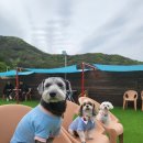 내서읍141 이미지