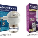 세바코리아 이미지