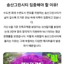 ＜특급물건＞ 송산그린시티가 있는 화성! &#39;낭만닥터김사부&#39;, &#39;푸른바다의 전설&#39; 촬영지 포천! 이미지