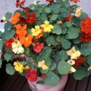 이젠당구장 이미지