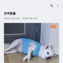 류애비뉴부천 이미지
