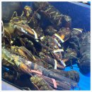 소문난 구이 이미지