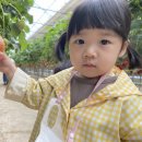 안하농장 이미지