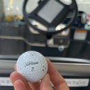 함평엘리체CC 이미지