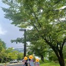 엑스포로(유성-62) 이미지