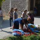 고고트래블 이미지