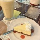 (주)엠케이크 | 보니파시오 케이크 맛집 솔직 후기, 3년간 검증한 찐 리스트