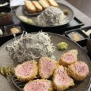 엘리카츠 이미지
