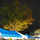 목포진 역사공원 입구 이미지