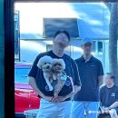 중앙애견 | [강릉] 애견동반 여행 : 강릉중앙시장 누룽지오징어순대+월화거리야시장 후기