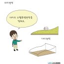 대지 행정사 이미지