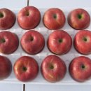 고덕면016 이미지