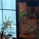 하쿠나마타타헤어 이미지