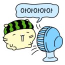 로이펫살롱 이미지