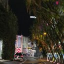 한국실사 | [서커스] 'COME ALIVE!' : 영화 <위대한 쇼맨> 실사판! | 관람 후기 + 할인 꿀팁, 시드니