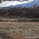 미륵리 불두 이미지