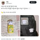 가나디 바나나 우유에서 대가리를 딴 소녀들.twt 이미지