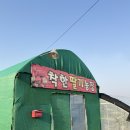 송탄고가길 | 오산·평택 딸기 맛집 찾는다면 여기! 진위 착한딸기농장 솔직 후기