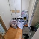 청소해적단 이미지