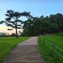 핑크뮬리 꽃단지 마 | 가을 꽃여행) 전국 지역별 코스모스 명소 8곳 : 파란 하늘 아래, 살랑이는 가을 인사