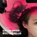 시나움 네이버블로그